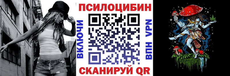 Псилоцибиновые грибы Psilocybe  где продают   Елизаветинская 